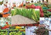 Agricultural exports recorded many positive signals from EVFTA