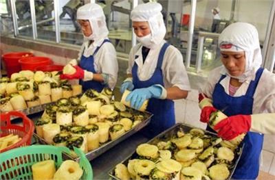 Export of vegetables and fruits in the first 9 months of 2020 will reach 2.5 billion USD 