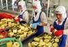 Export of vegetables and fruits in the first 9 months of 2020 will reach 2.5 billion USD 