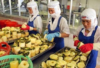 Xuất khẩu rau quả 9 tháng đầu năm 2020 đạt 2,5 tỷ USD